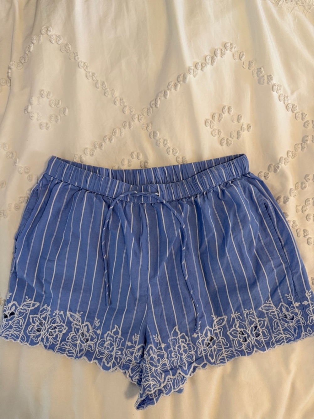Blue Striped Embroidered Women’s Shorts